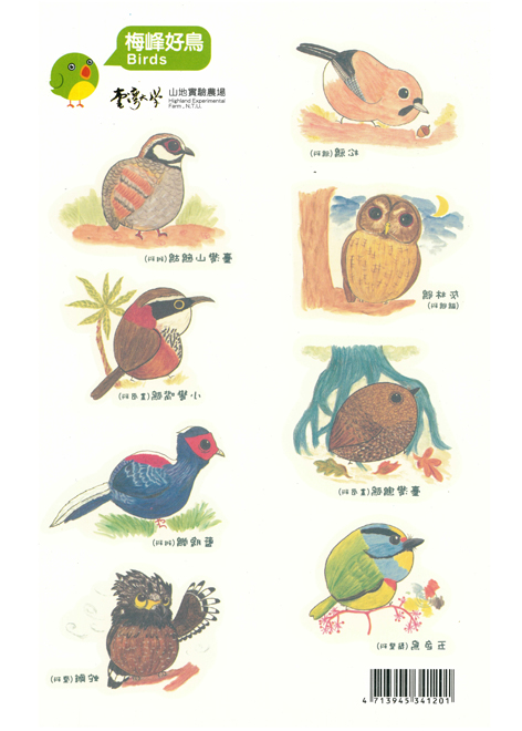 梅峰好鳥紋身貼紙