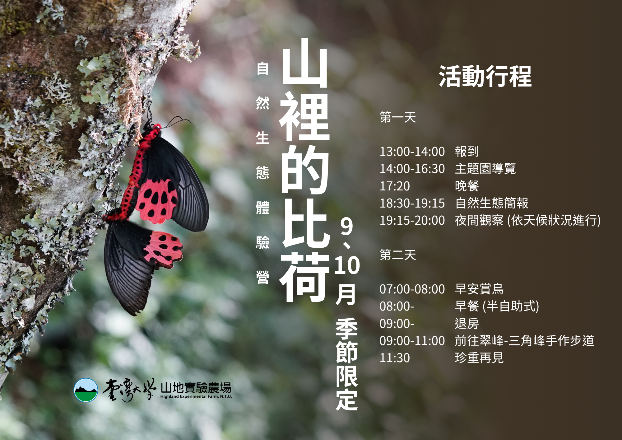 山裡的比荷dm