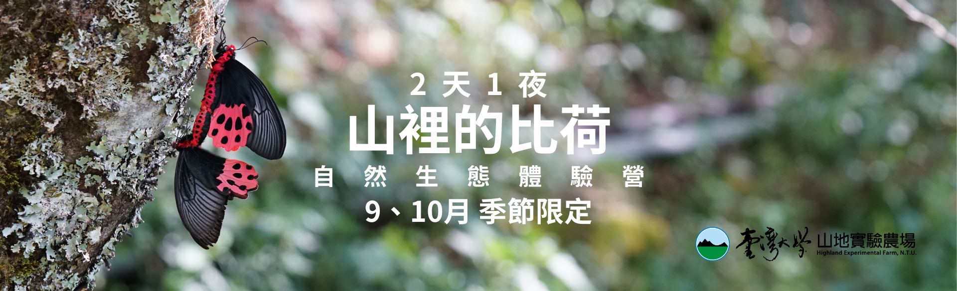 2025山裡的比荷體驗營活動(9、10月限定)