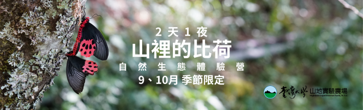 2025山裡的比荷體驗營活動(9、10月限定)